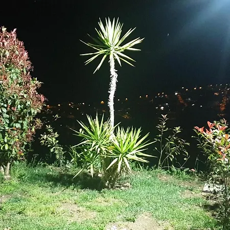 Stella Del Cilento Vista Golfo Bed & Breakfast *